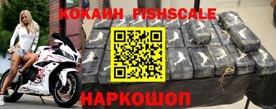 стаф Кинель