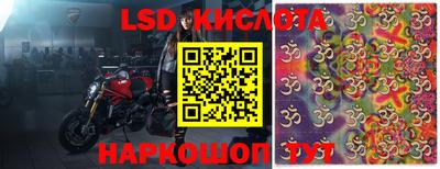 гашик Кингисепп