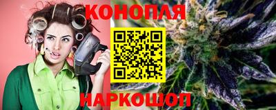 гашик Кингисепп