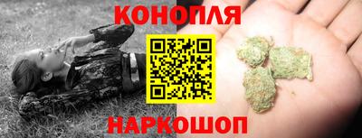 гашик Кингисепп