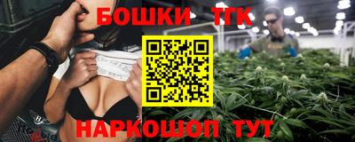 гашик Кингисепп
