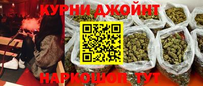 гашик Кингисепп