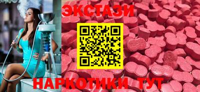 стаф Кинель