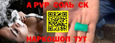 гашик Кингисепп