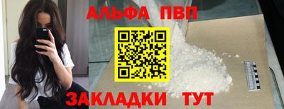 гашик Кингисепп