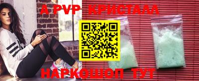 гашик Кингисепп