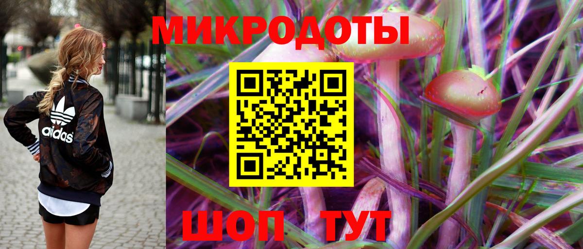 Галлюциногенные грибы Psilocybine cubensis  Вход с VPN  Фурманов  Псилоцибиновые грибы мицелий 